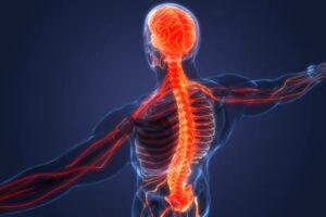 pain signals graphic