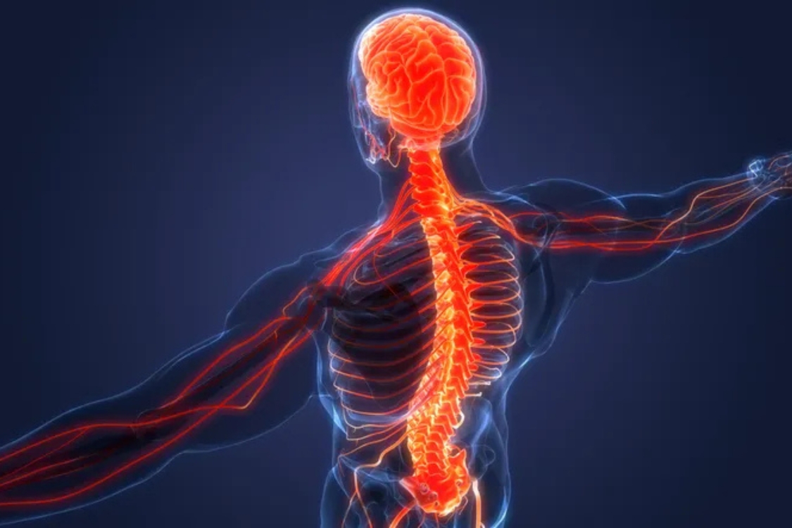 pain signals graphic